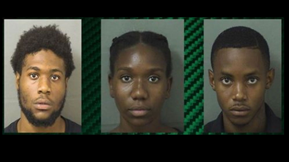 wptv-hall,-dwyer,-tucker-.jpg