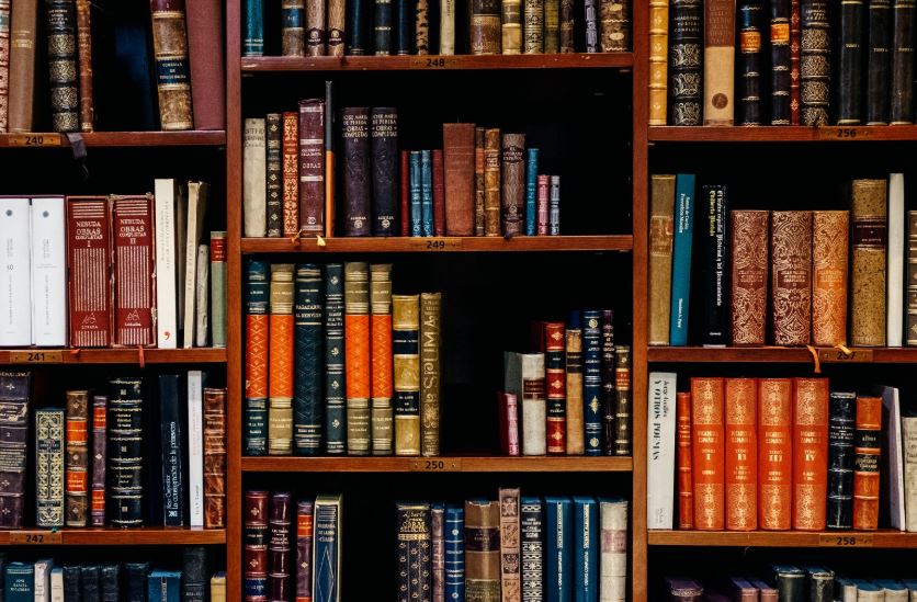 LIBRARY.JPG