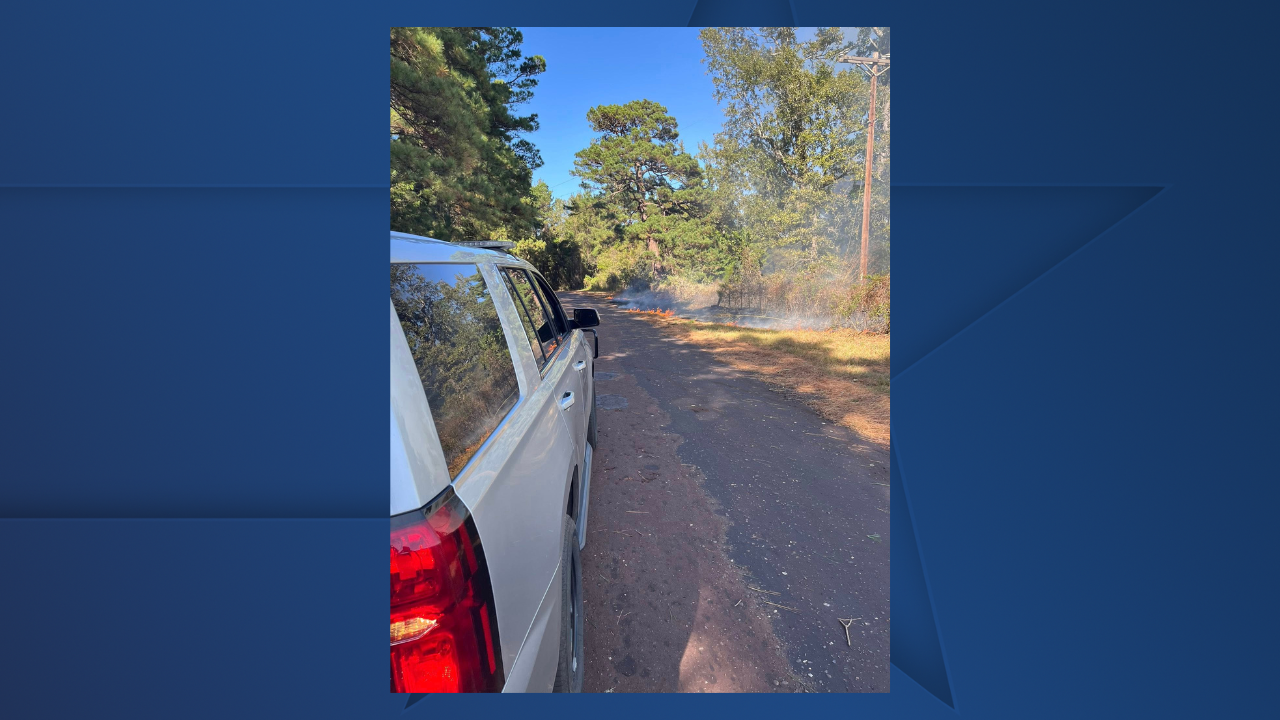 LEON COUNTY GRASS FIRE 1029.png