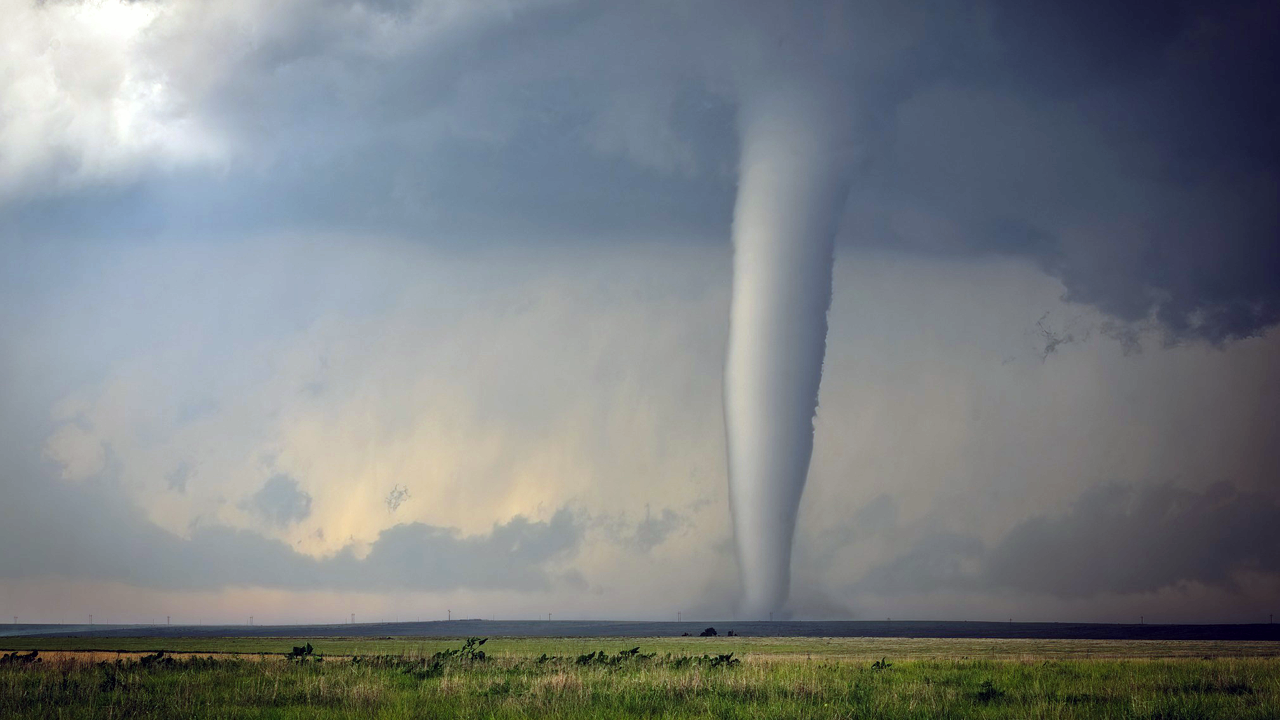 holly tornado.png