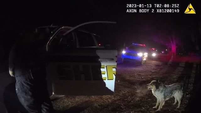 PHOTO- Lassie helps TCSO