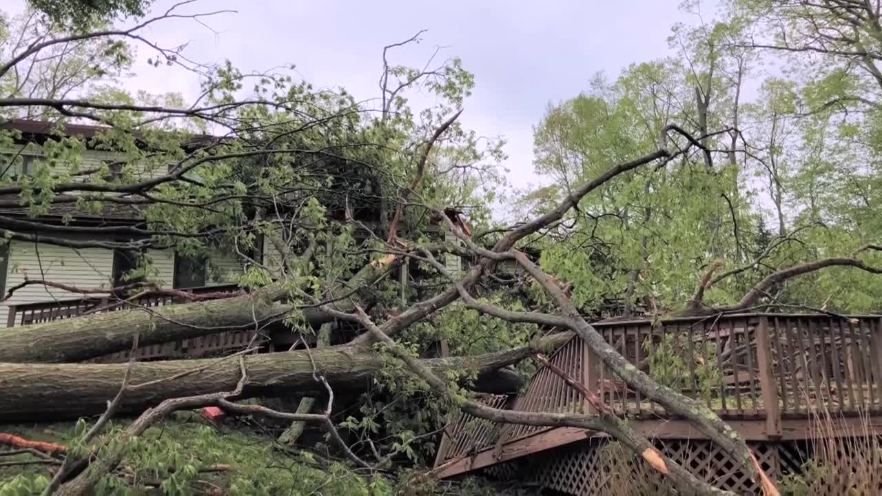 Poster image - 2024-06-07T071102.010.jpg