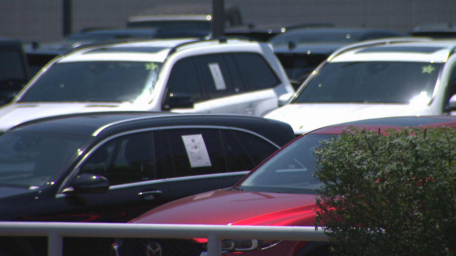 car dealerships