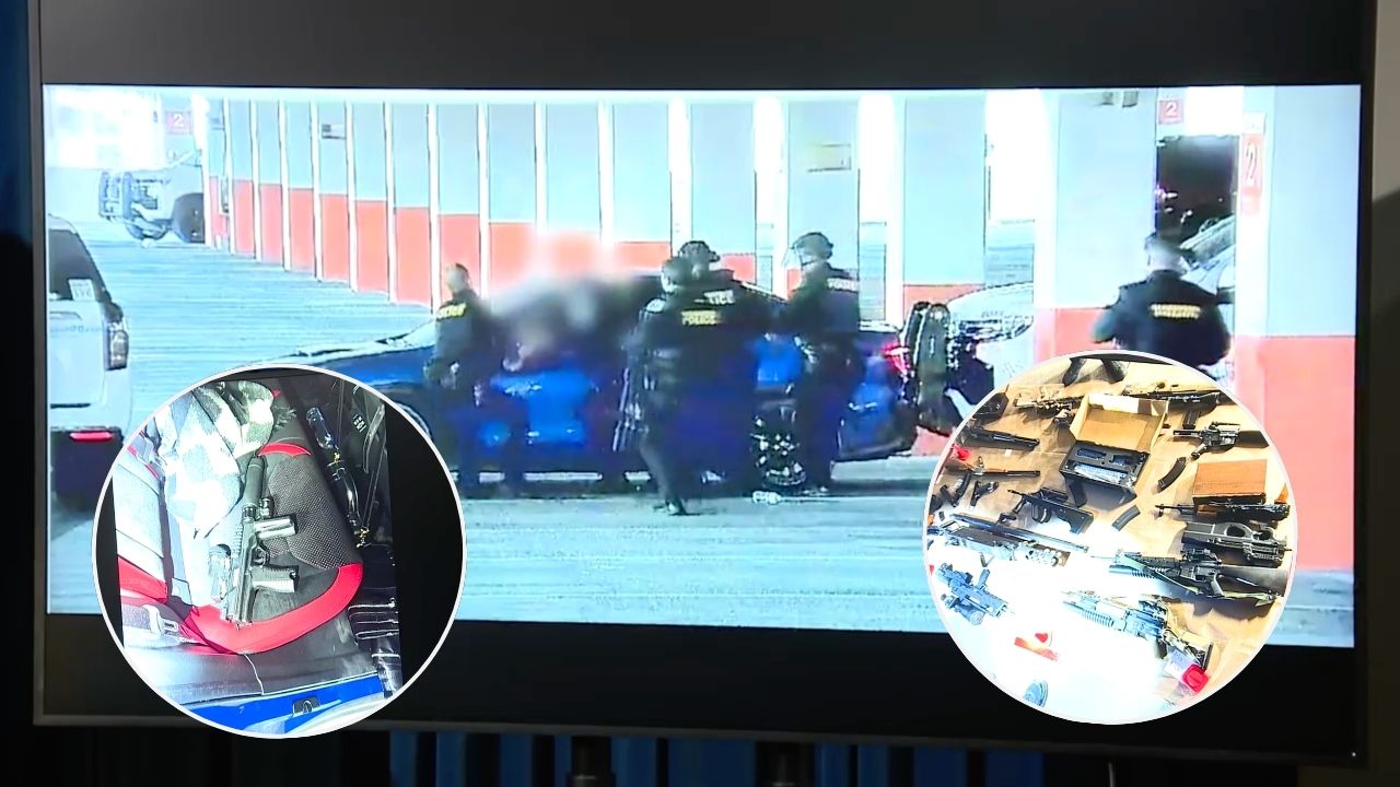 Allison Howlett terror threat investigation