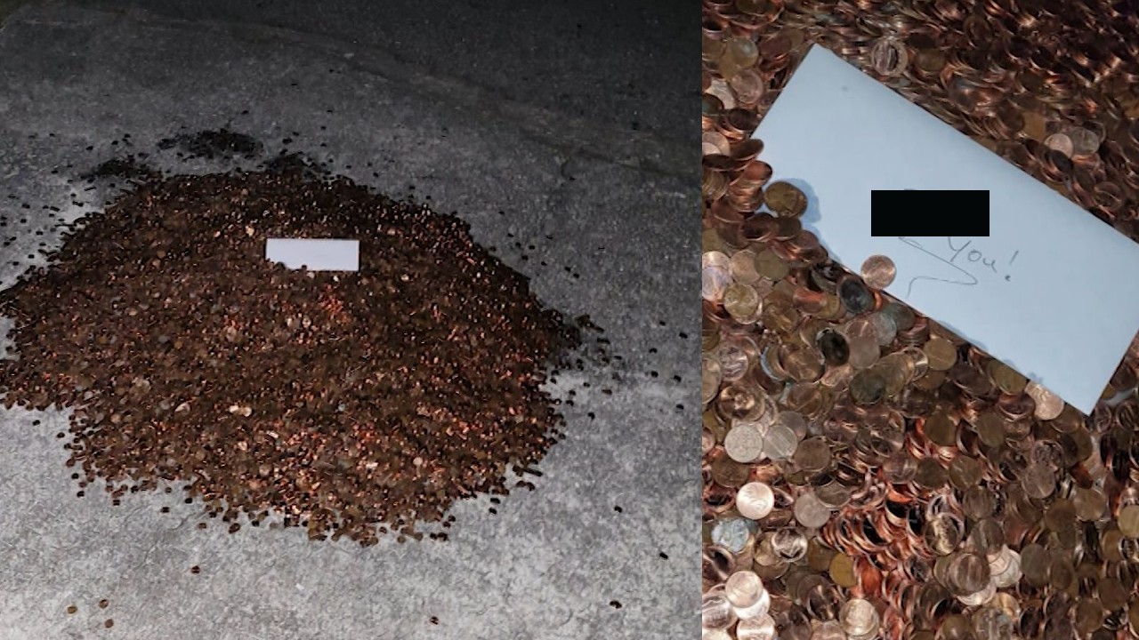 Pennies for Pay.jpg