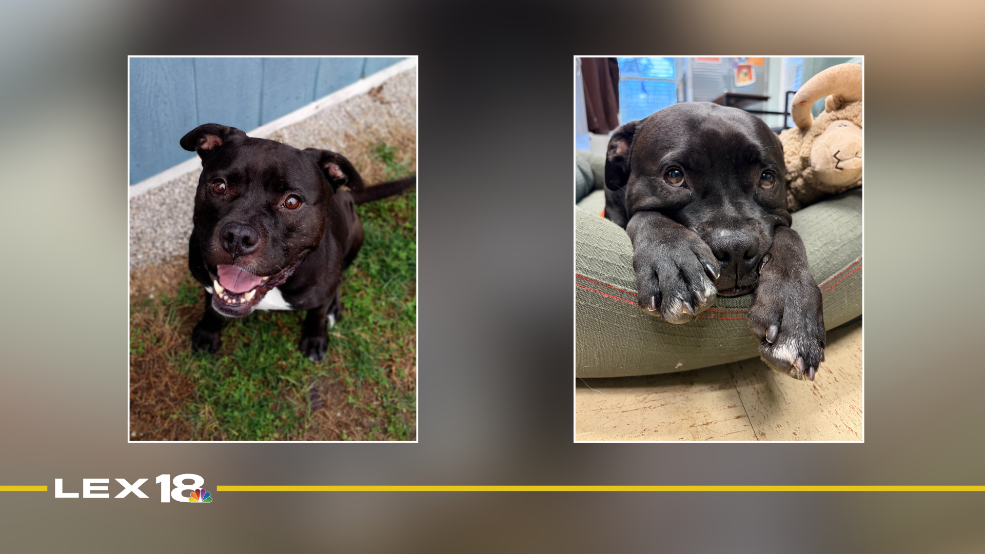 Featured Image Custom Edit (20).png