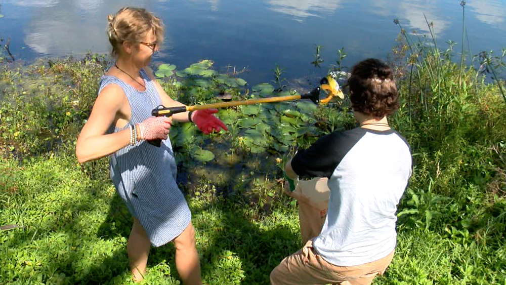 TrashTag cleaning up Mirror Lake