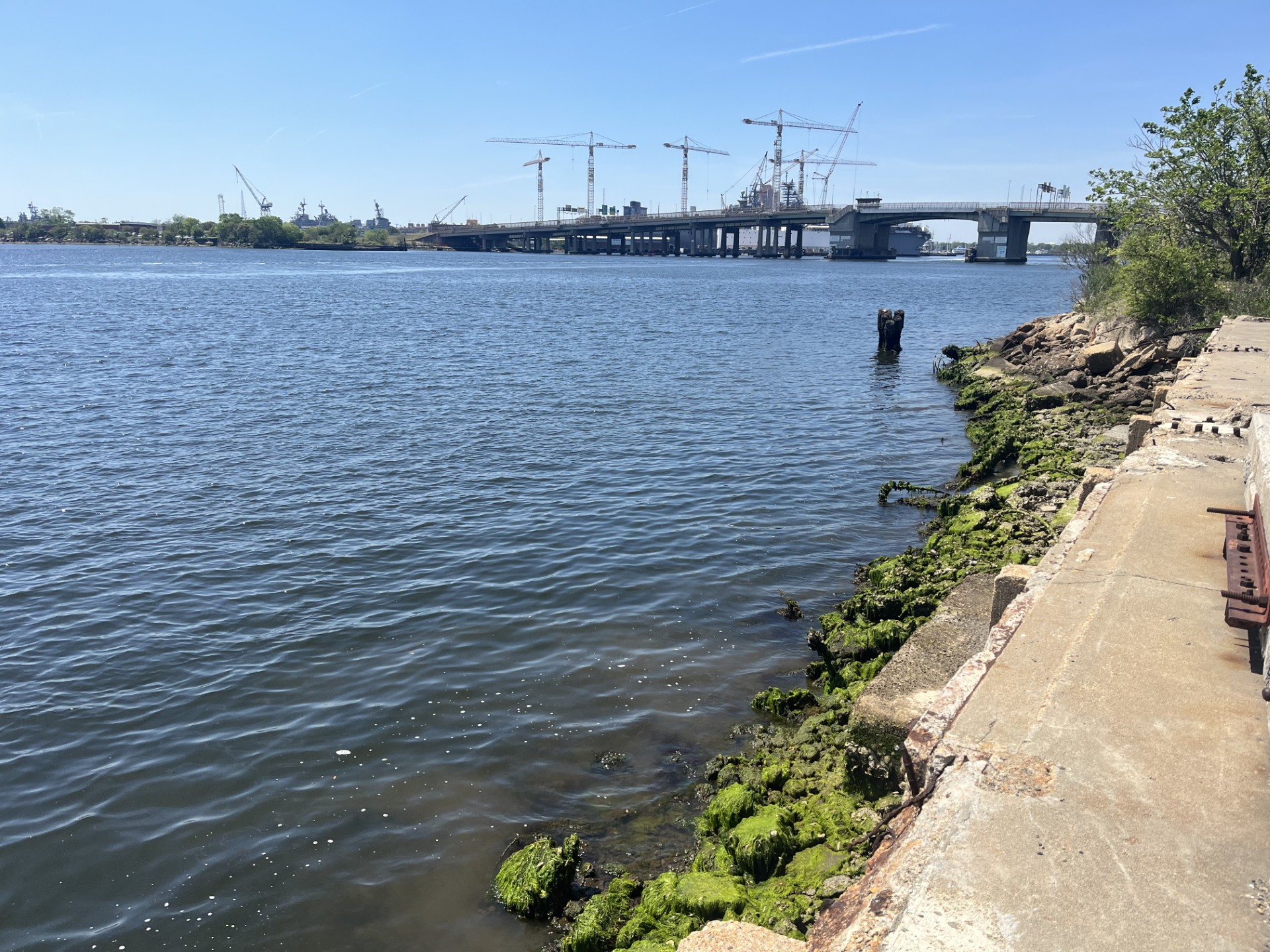 elizabeth river norfolk april 2026 near harbor park.jpg