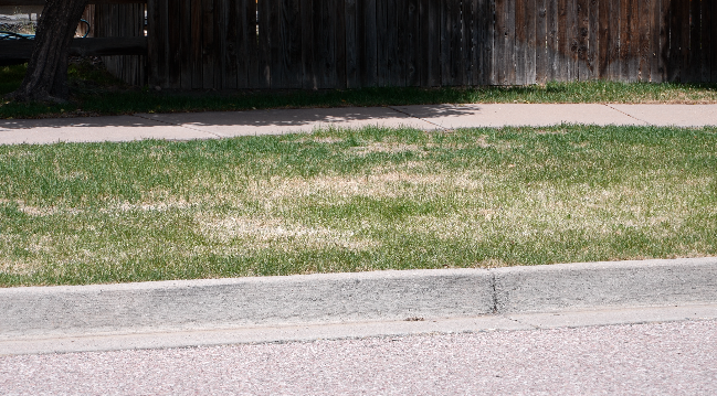 Stetson Hills Ridgeview HOA sends spring lawn maintenance reminders to some homeowners