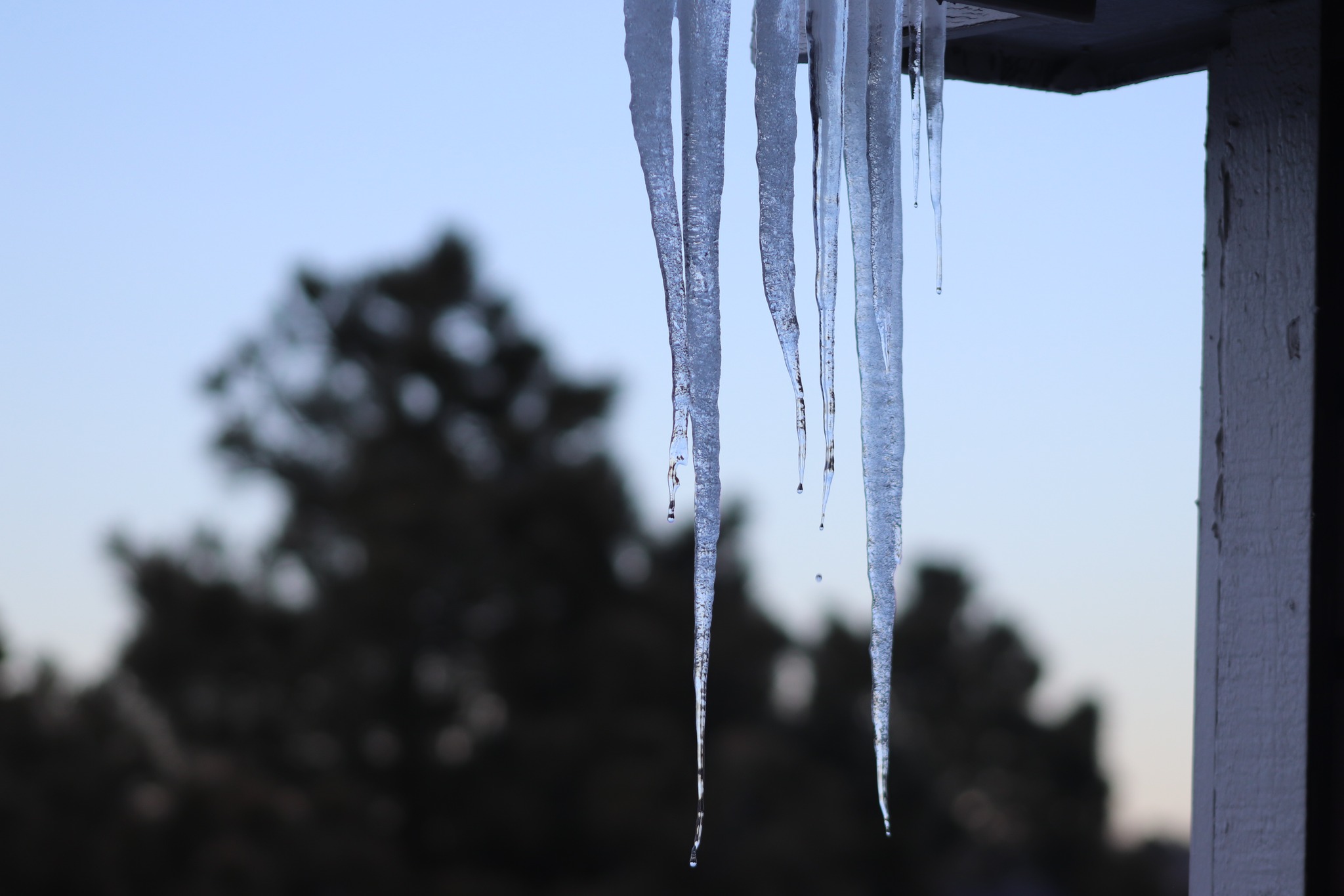 Ice