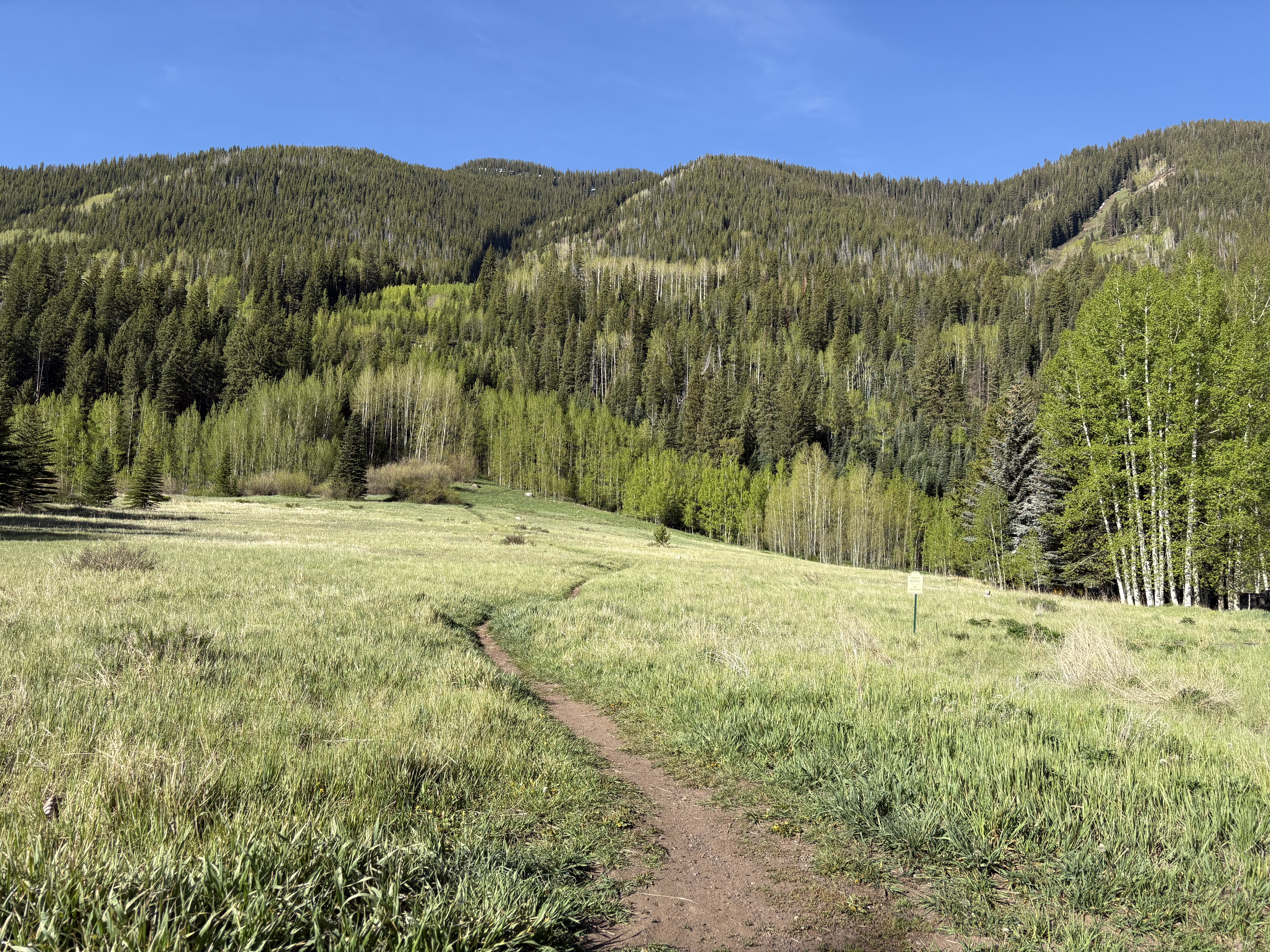 Colorado Waterfall Hikes: Murphy Falls in East Vail