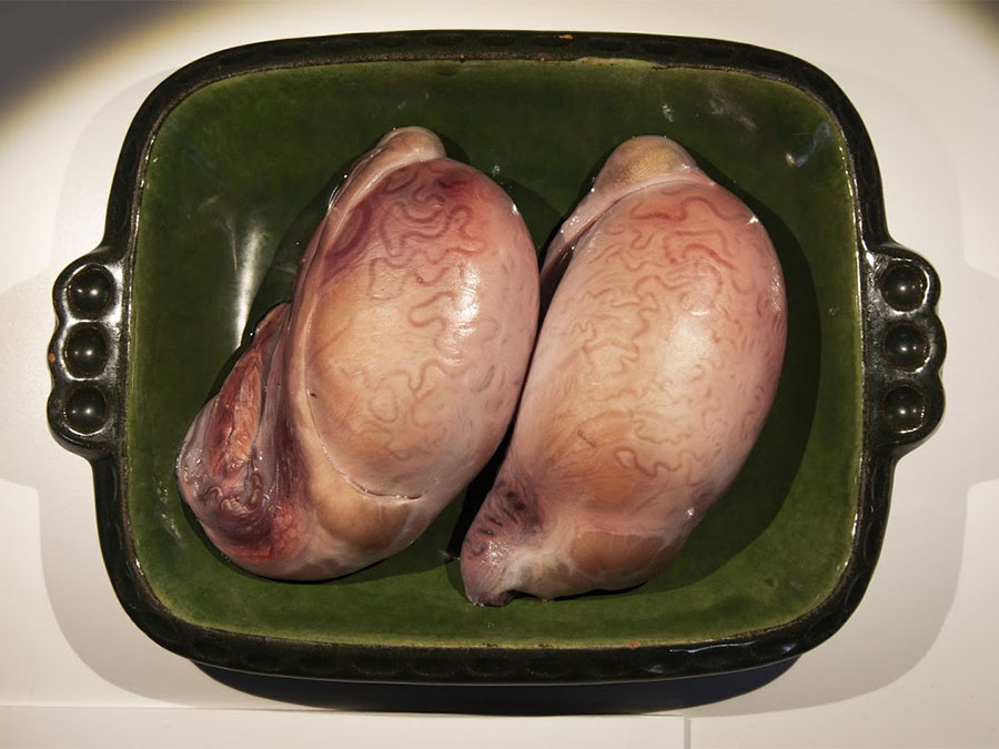 Disgusting Food Museum