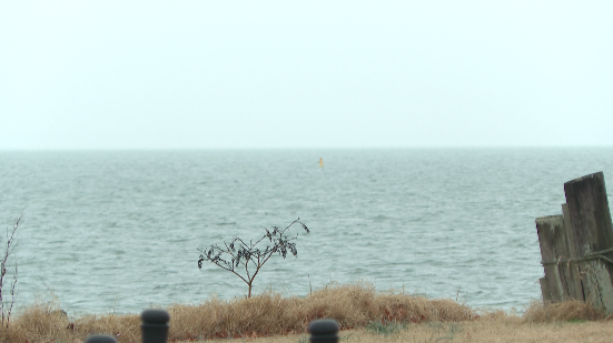 Screenshot 2026-03-03 at 4.25.47 PM.png