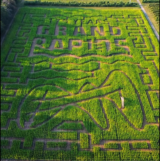 Robinettes 2025 corn maze.png