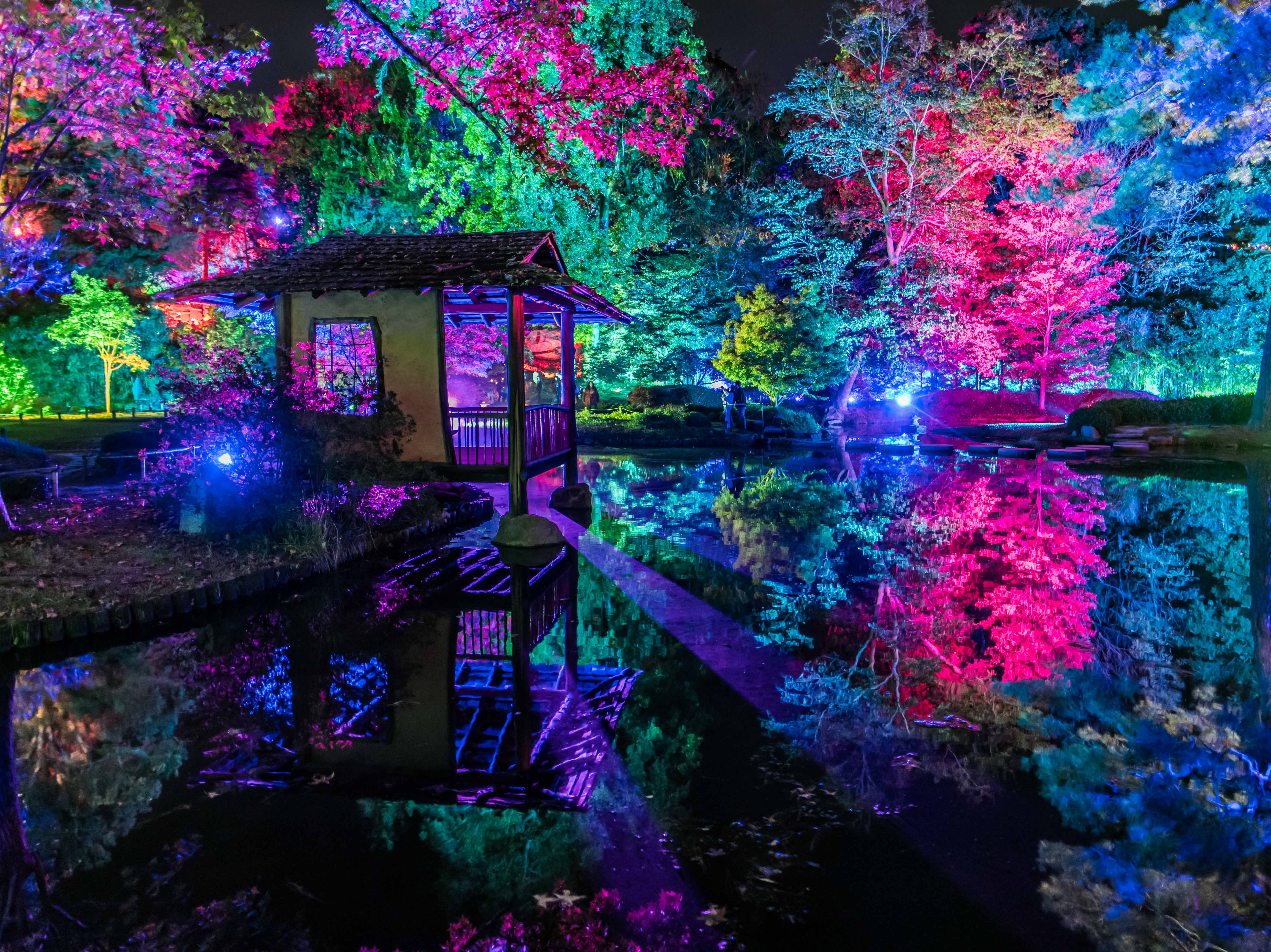 SR408734_c Dave Parrish (29).jpg