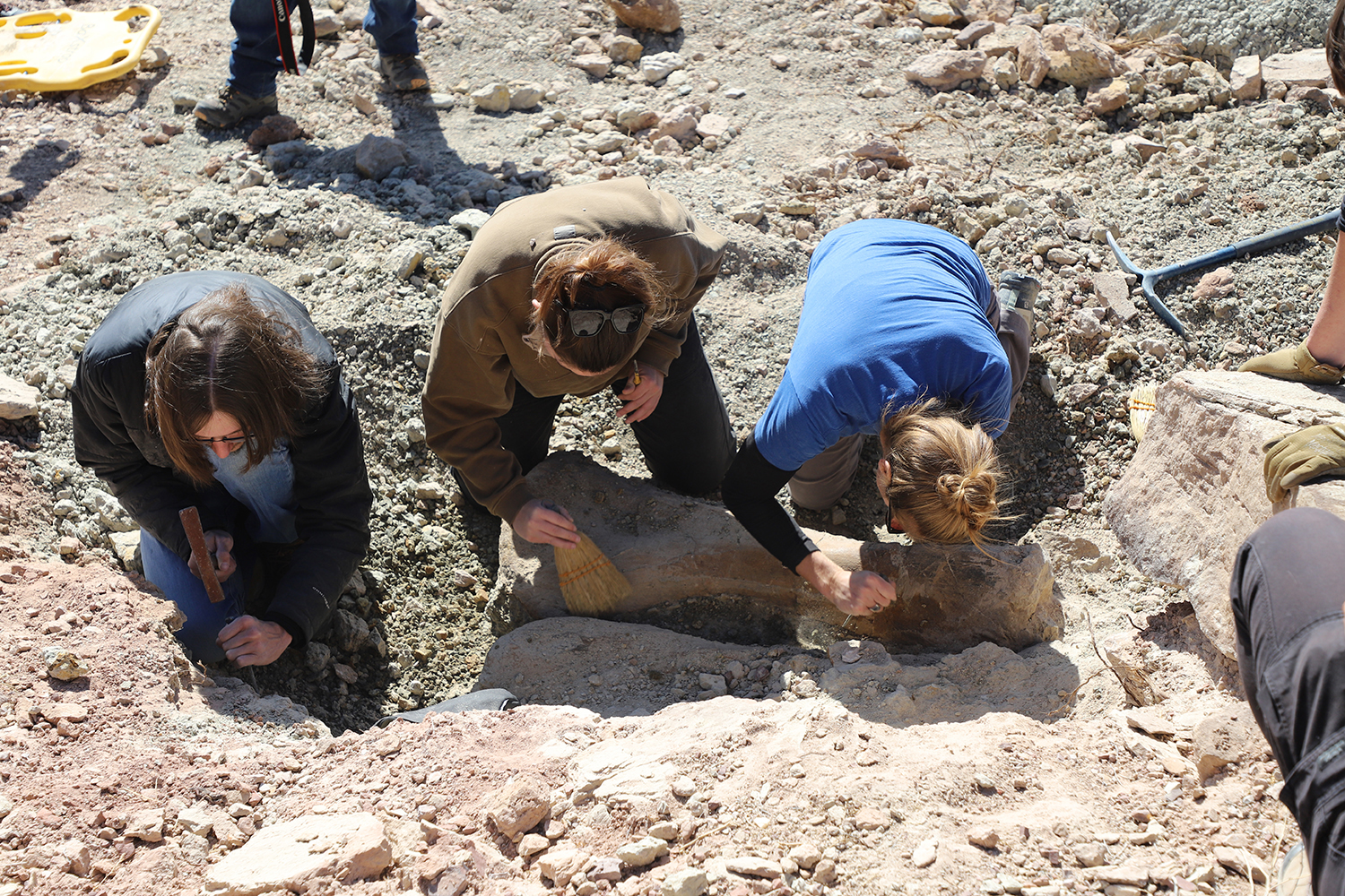 BLM_2022_Fossil_Excavation_2.JPG