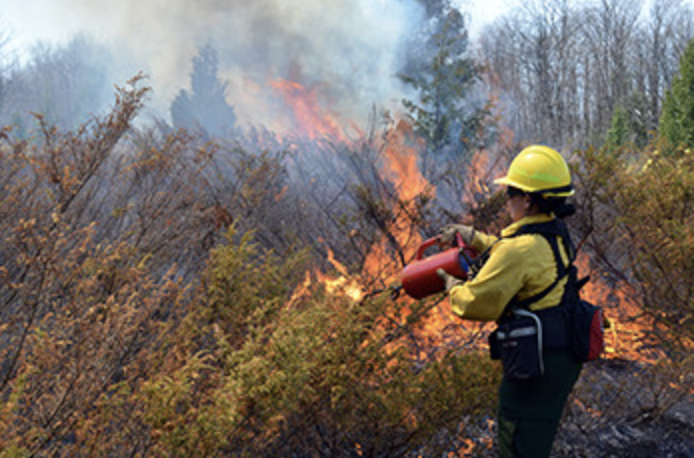 Michigan wildfires