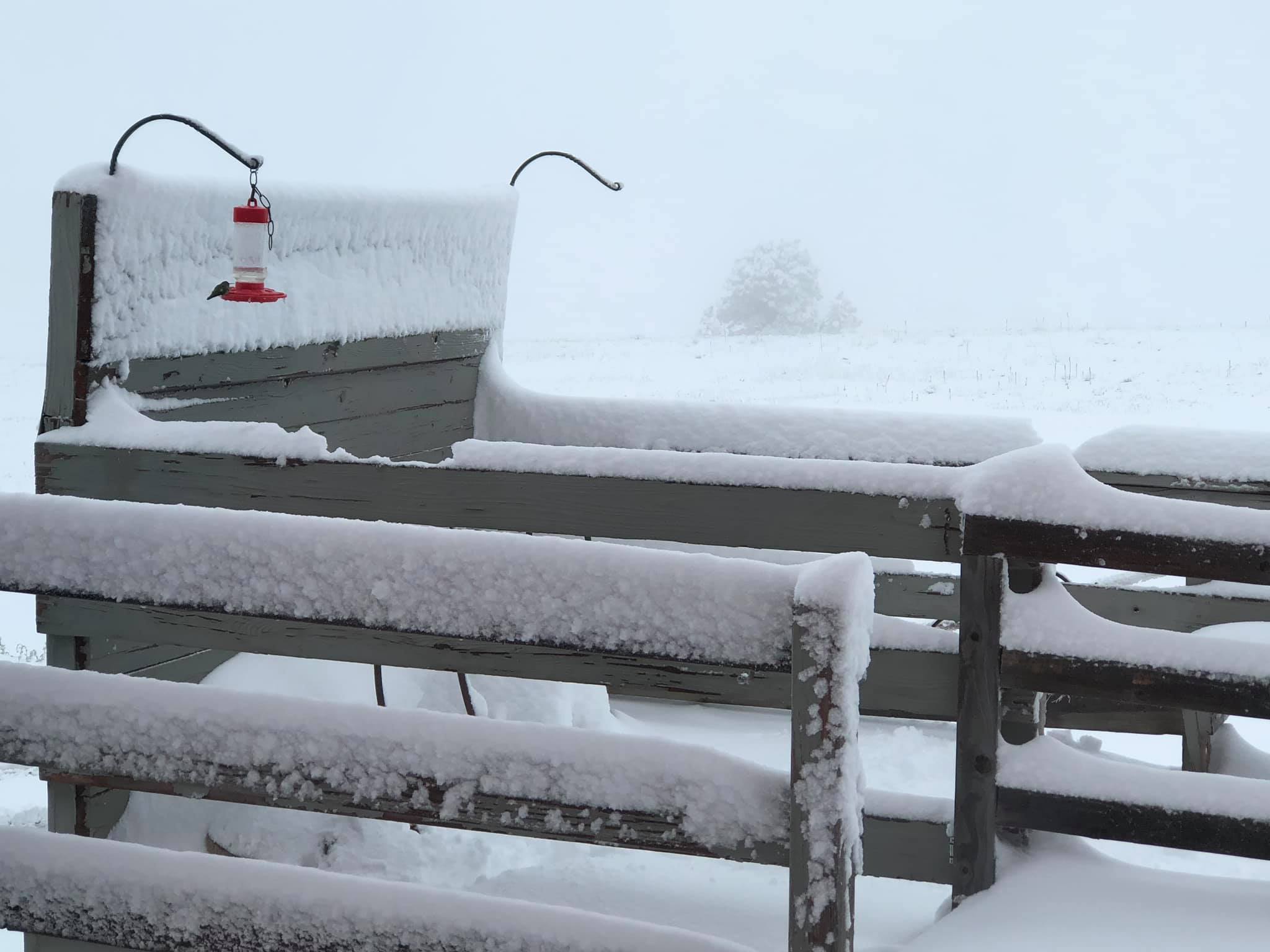 may 20th snow peggy j hosey.jpg