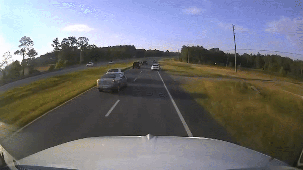 The Walton County Sheriff's Office said a chain-reaction crash involving a semi and several other vehicles was the result of a driver stopping on U.S. Route 331 to let a turtle cross the highway. 