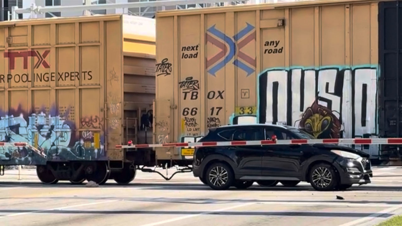 Train on tracks Banyan