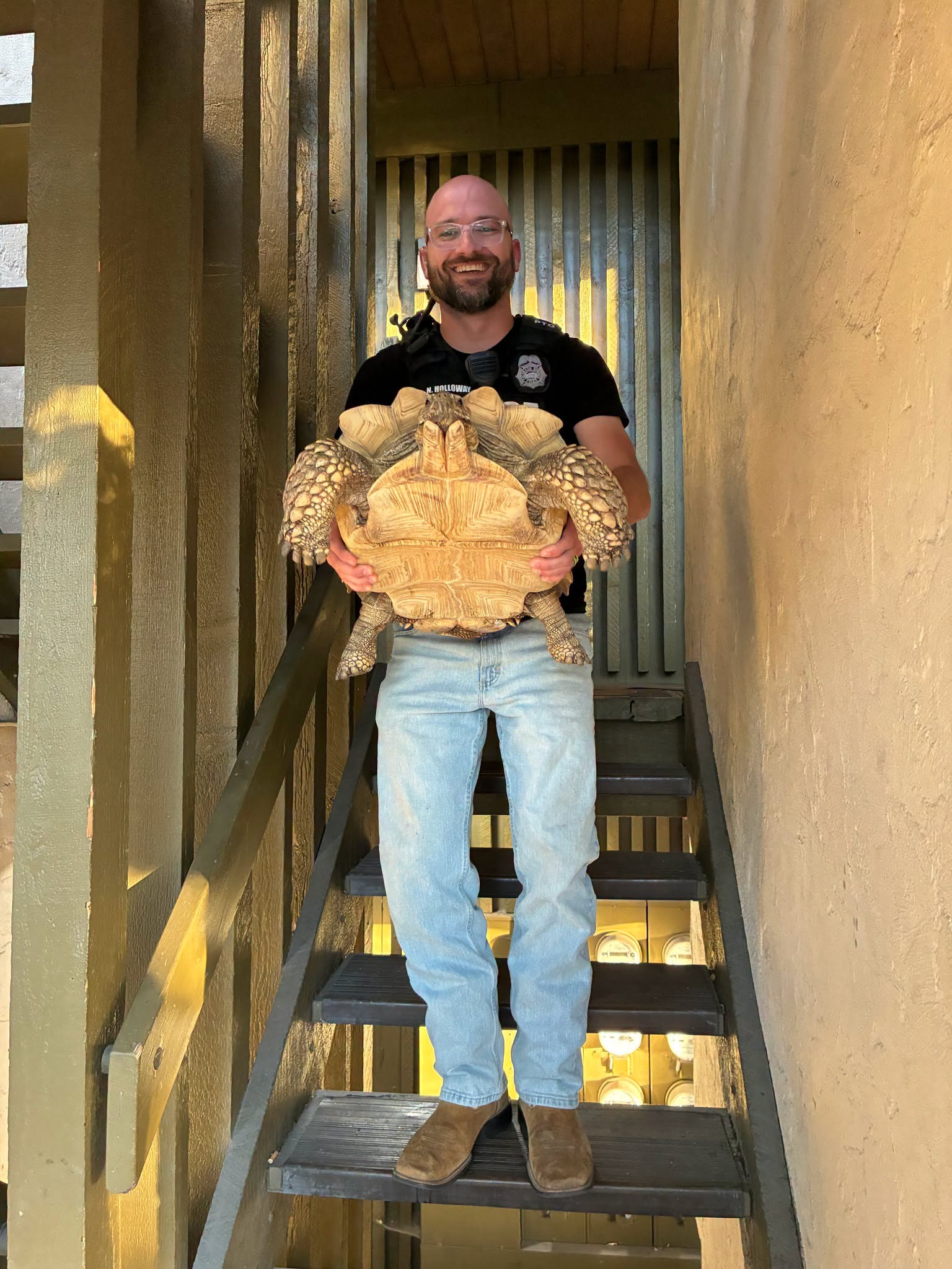 Colorado Springs Tortoise Recovered