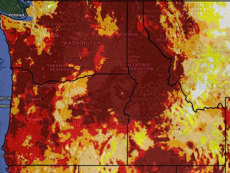 Drought Map July 2025 
