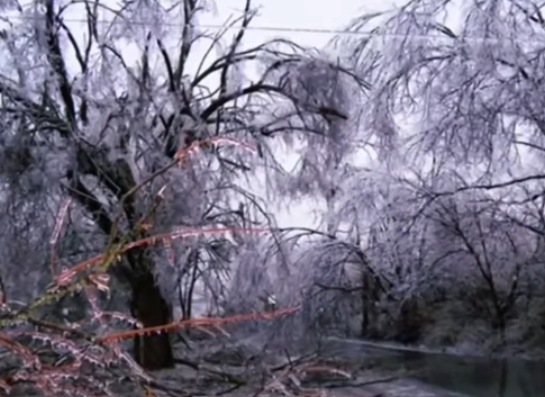 Ice storm in Danville.PNG