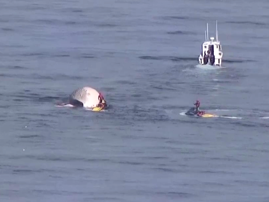 beached_whale_encinitas_cardiff_sky10_042726.png