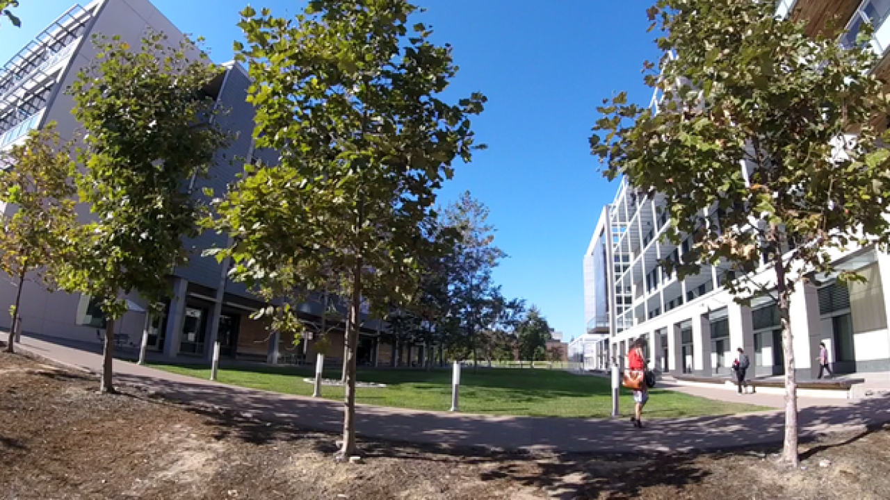 UCSD.png