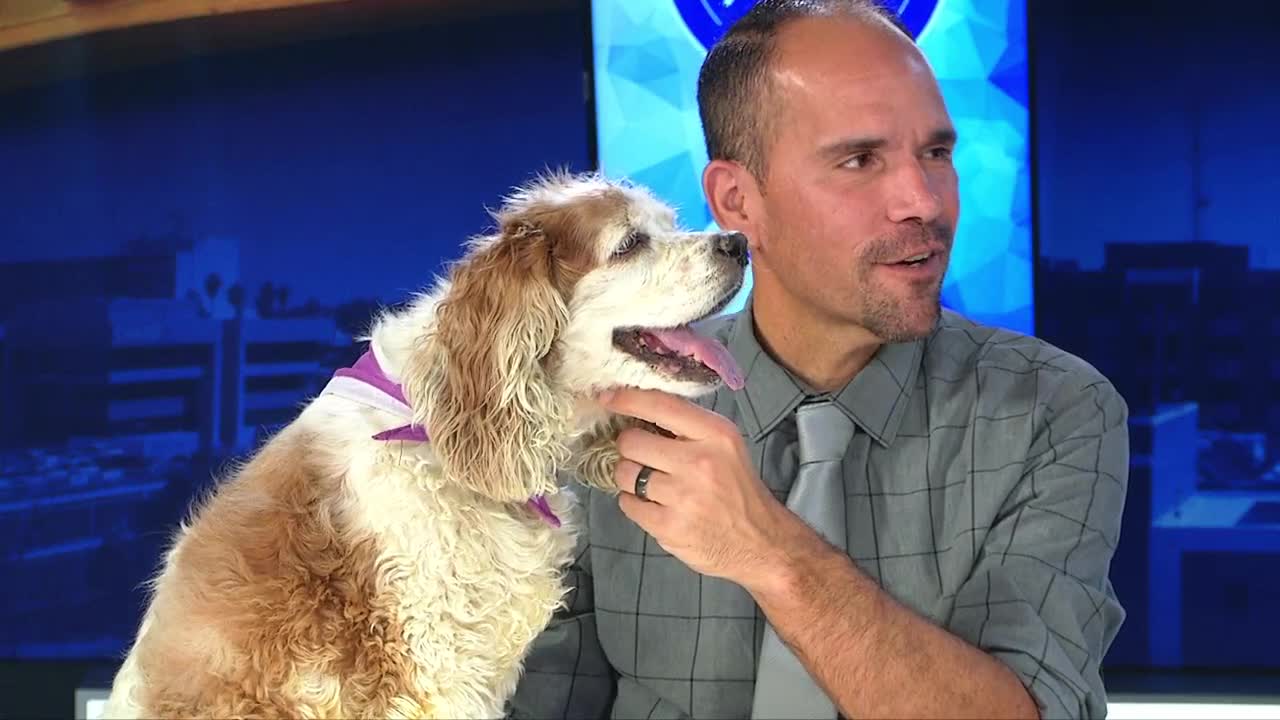 Kern County Animal Services (KCAS) Director Nick Cullen and Dolly the Dog