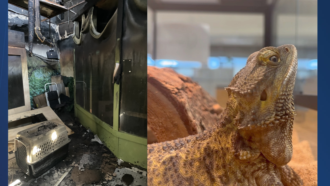 fire at wildlife center.png