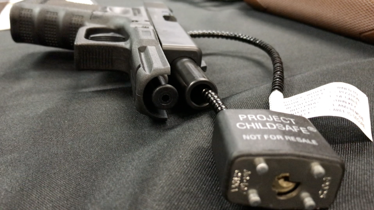 Project ChildSafe.png