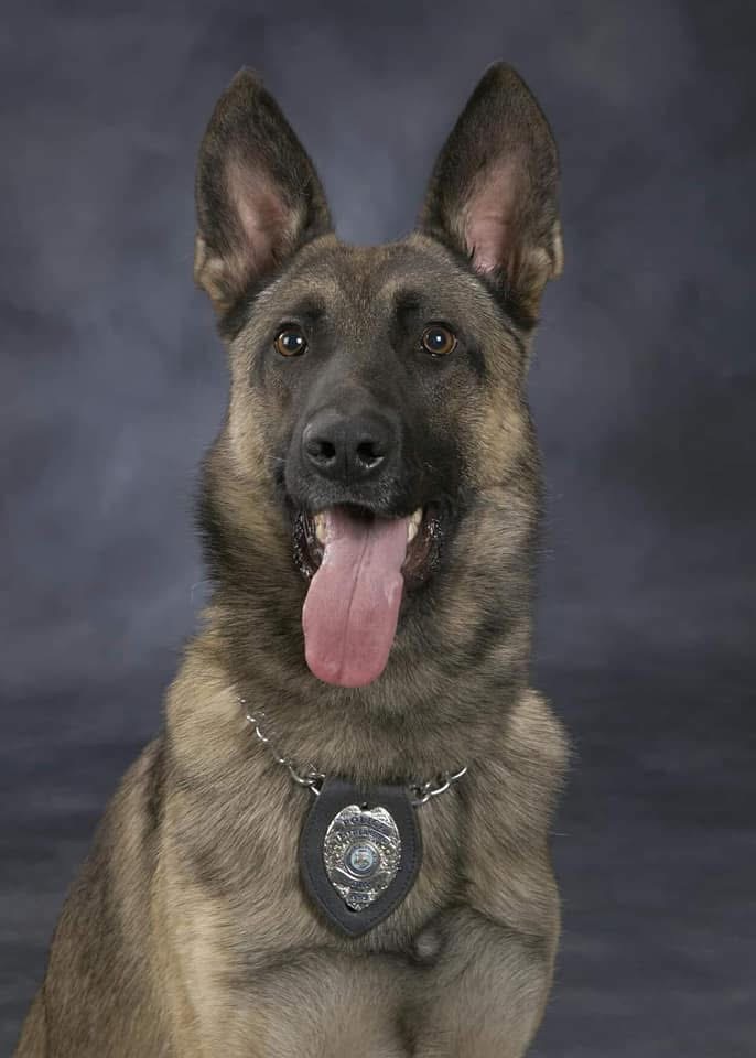 K9 Ares