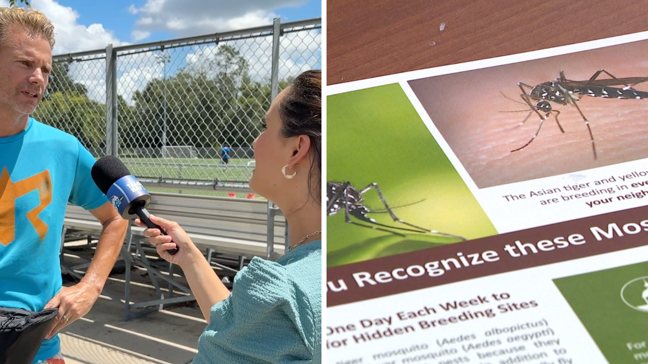 Dengue fever confirmed in Hillsborough County as mosquito experts urge residents to protect themselves