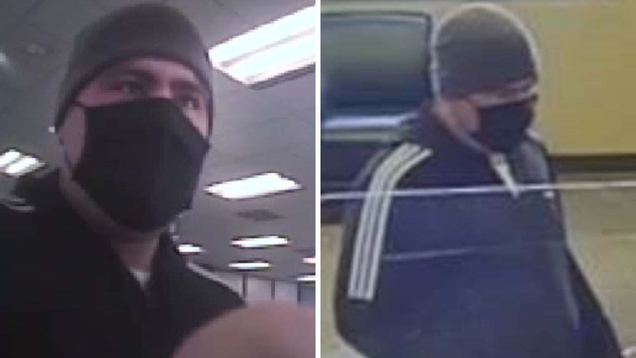 Bushy Brows Bandit
