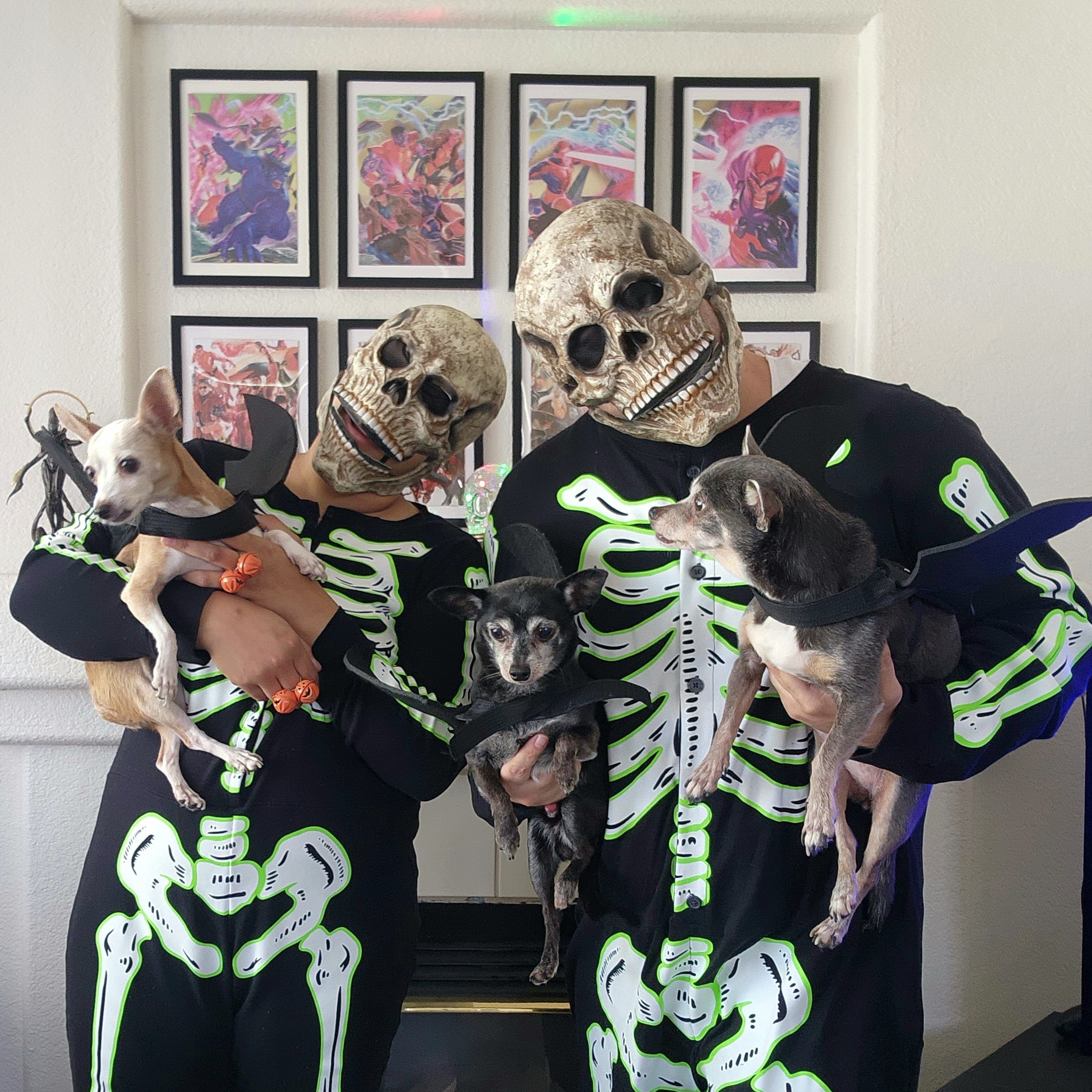 Trick-or-treat? We hope these pups got all the good treats! 