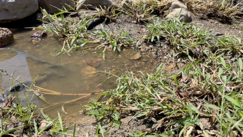 Texas lawmakers invest billions in water infrastructure as communities face growing demand