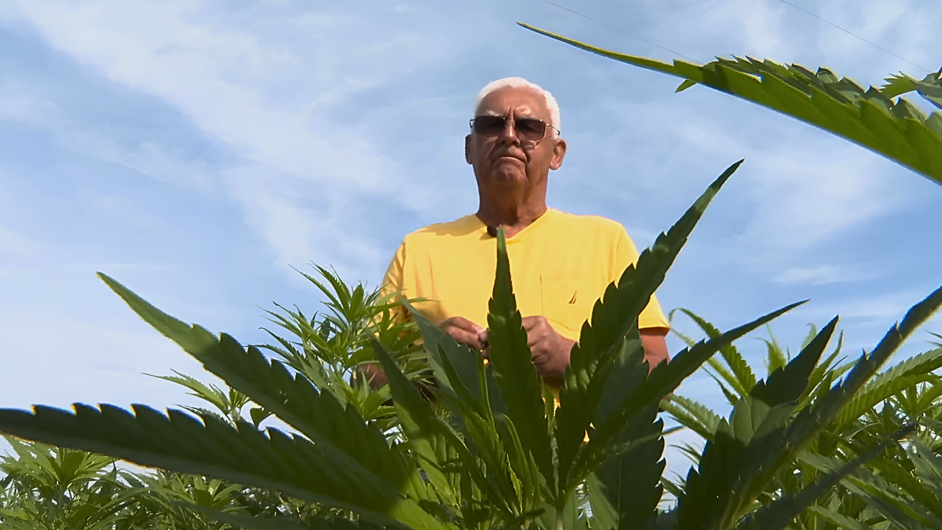 KY farmers hope Congress acts on proposed hemp solution before November ban