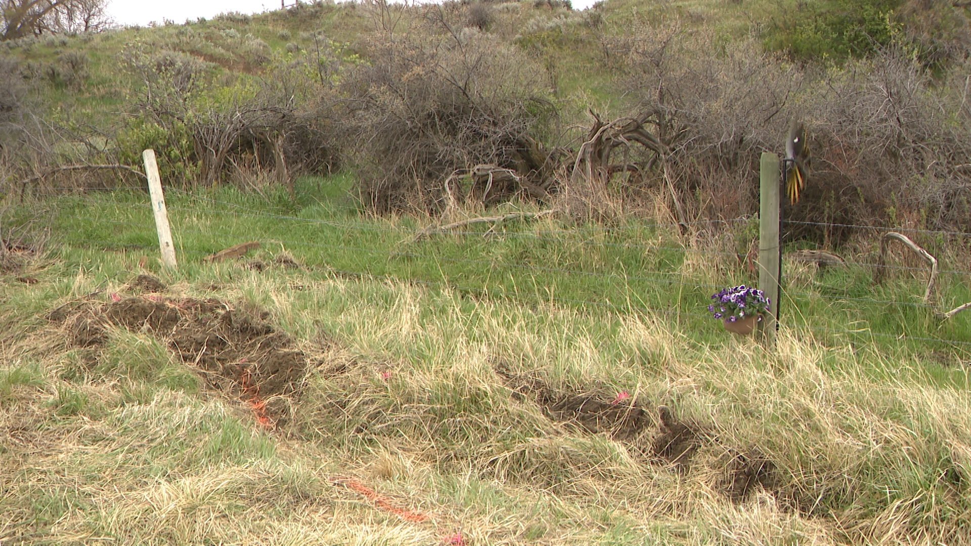 'Not supposed to bury our children': Fromberg teen death rattles small community