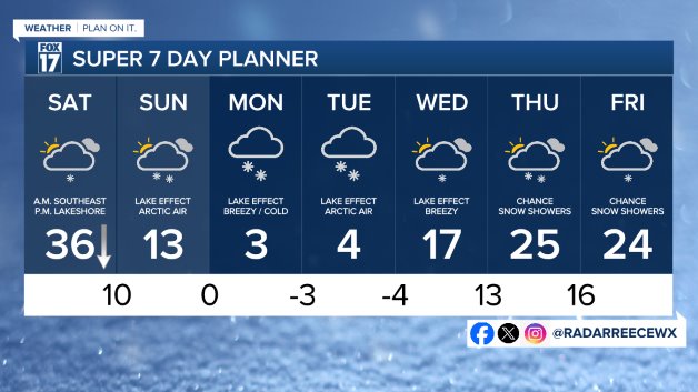7 DAY FORECAST
