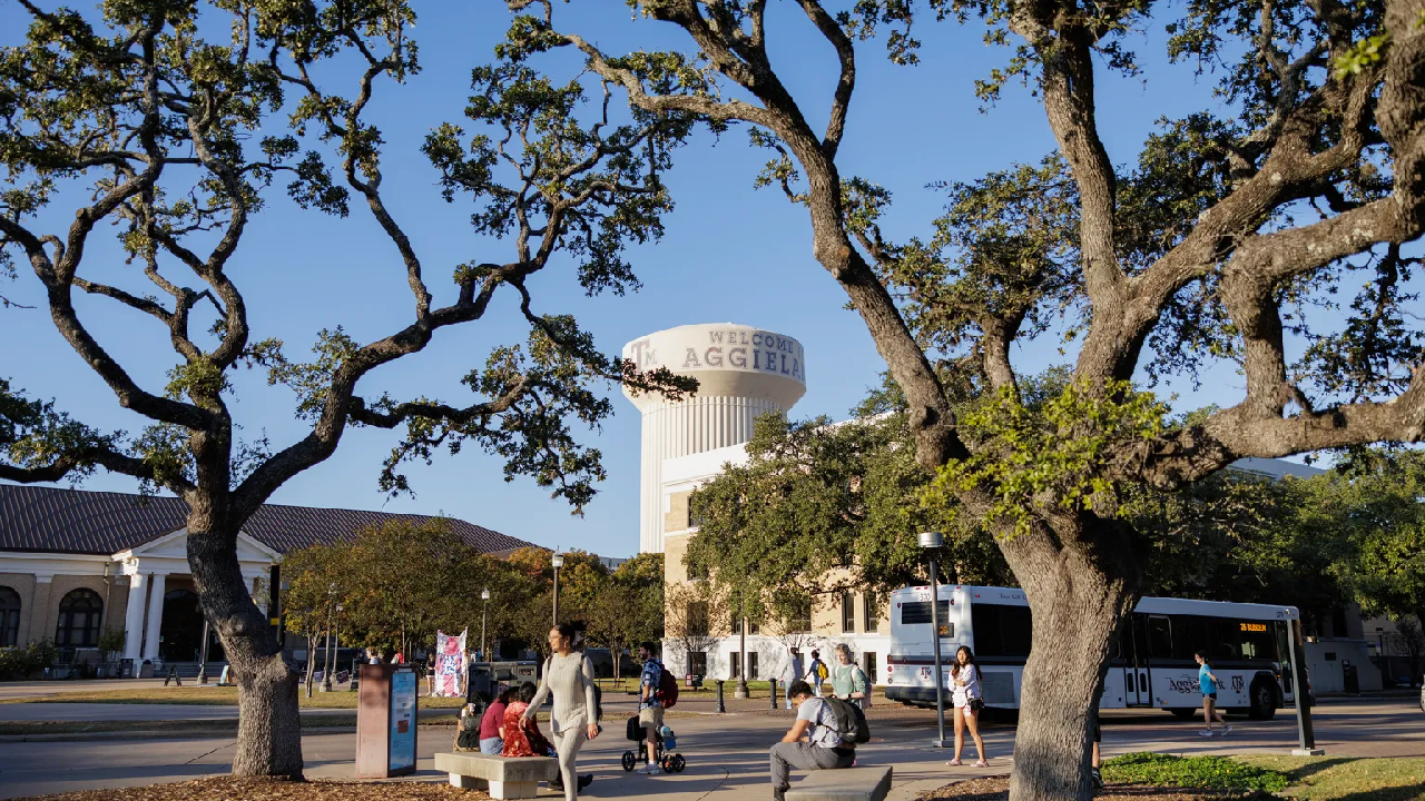Texas A&M
