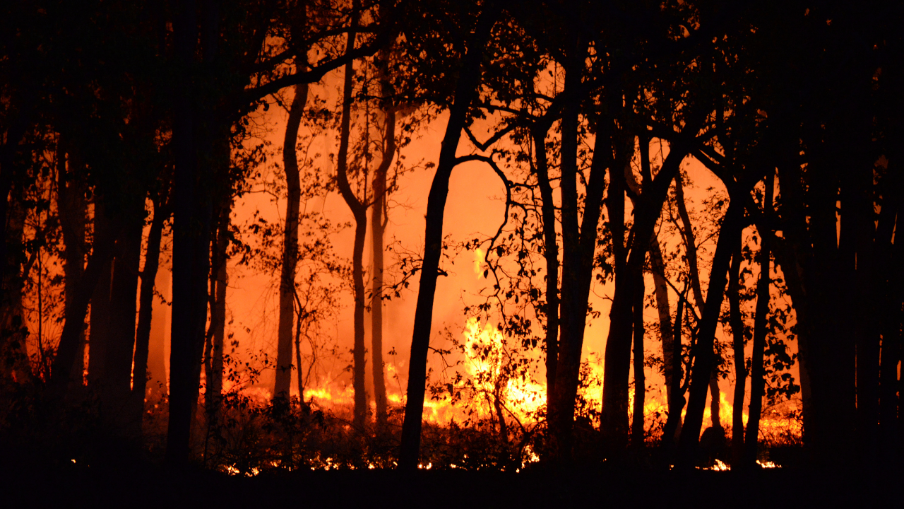 Wildfire (FILE)