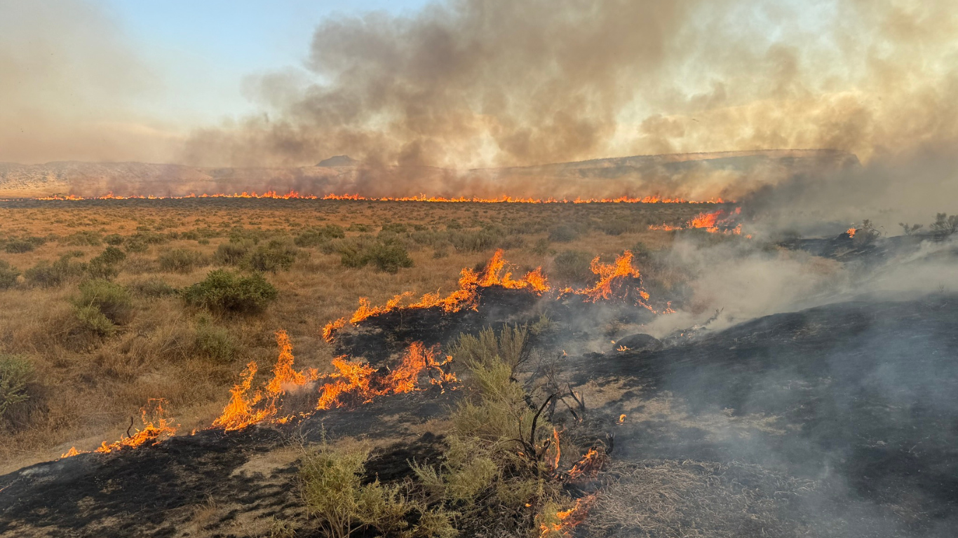 BLM striker fire.png
