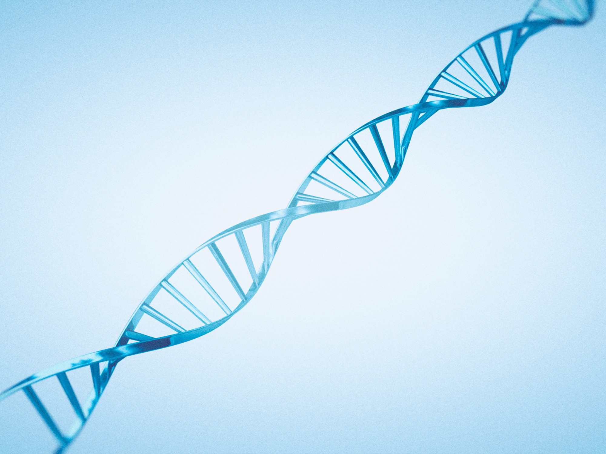 DNA genes AP