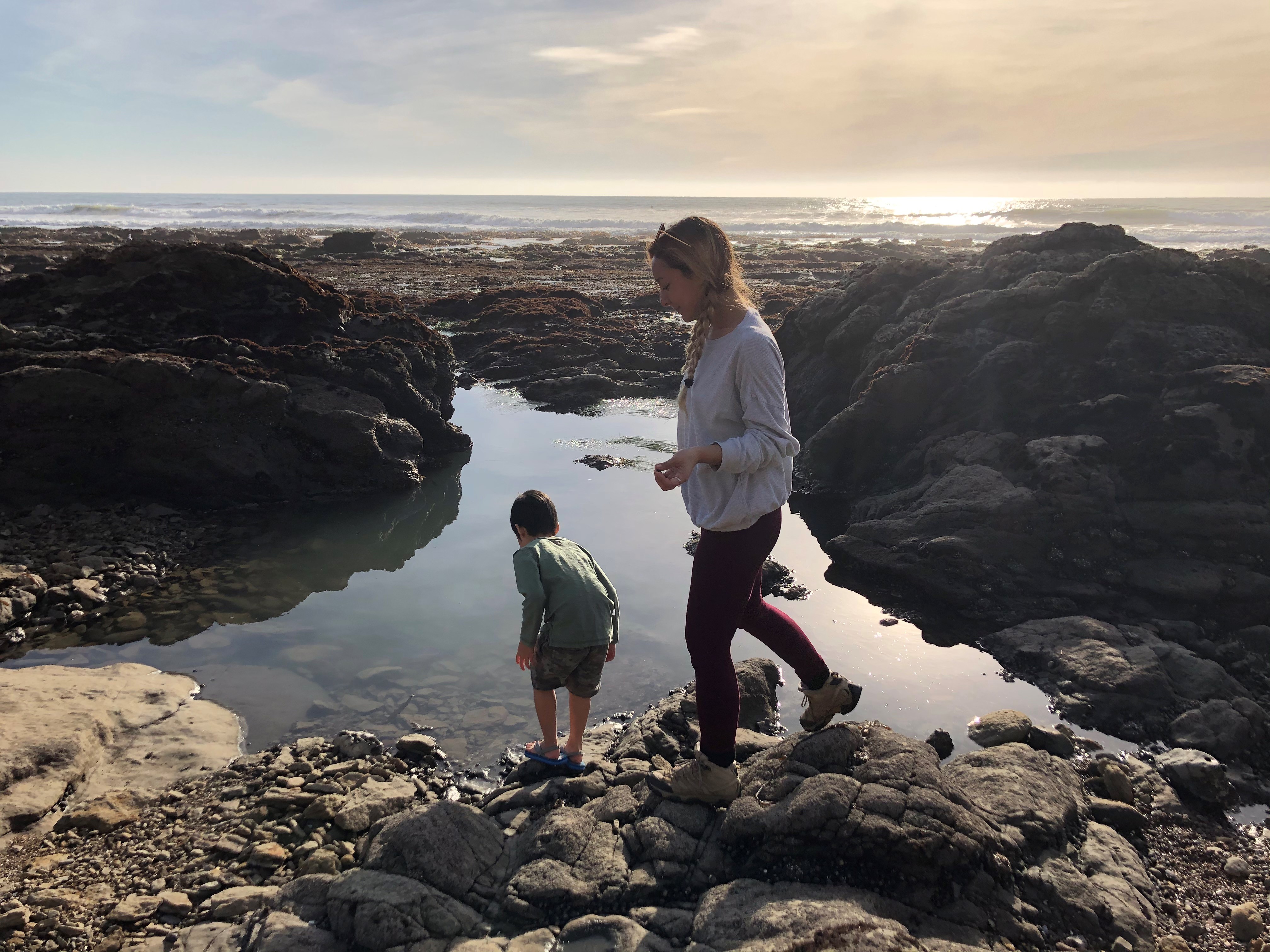 shell beach tides.jpg