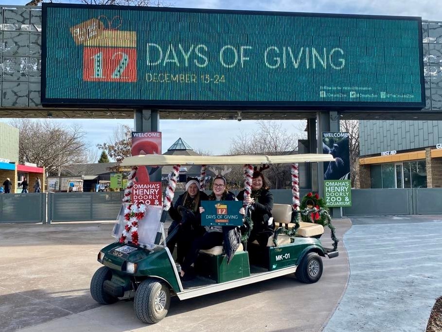 12 Days of Giving Cart