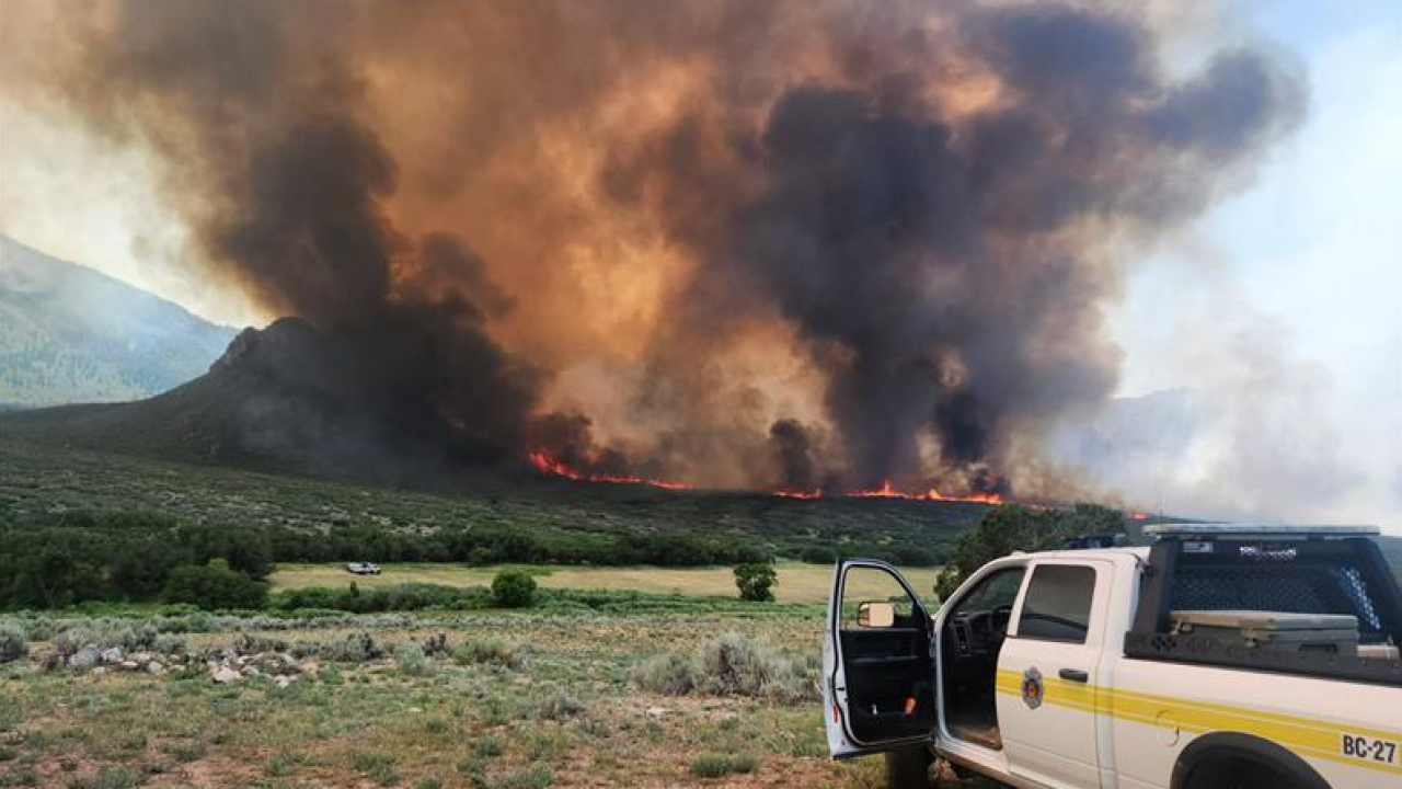 Turner Gulch Fire