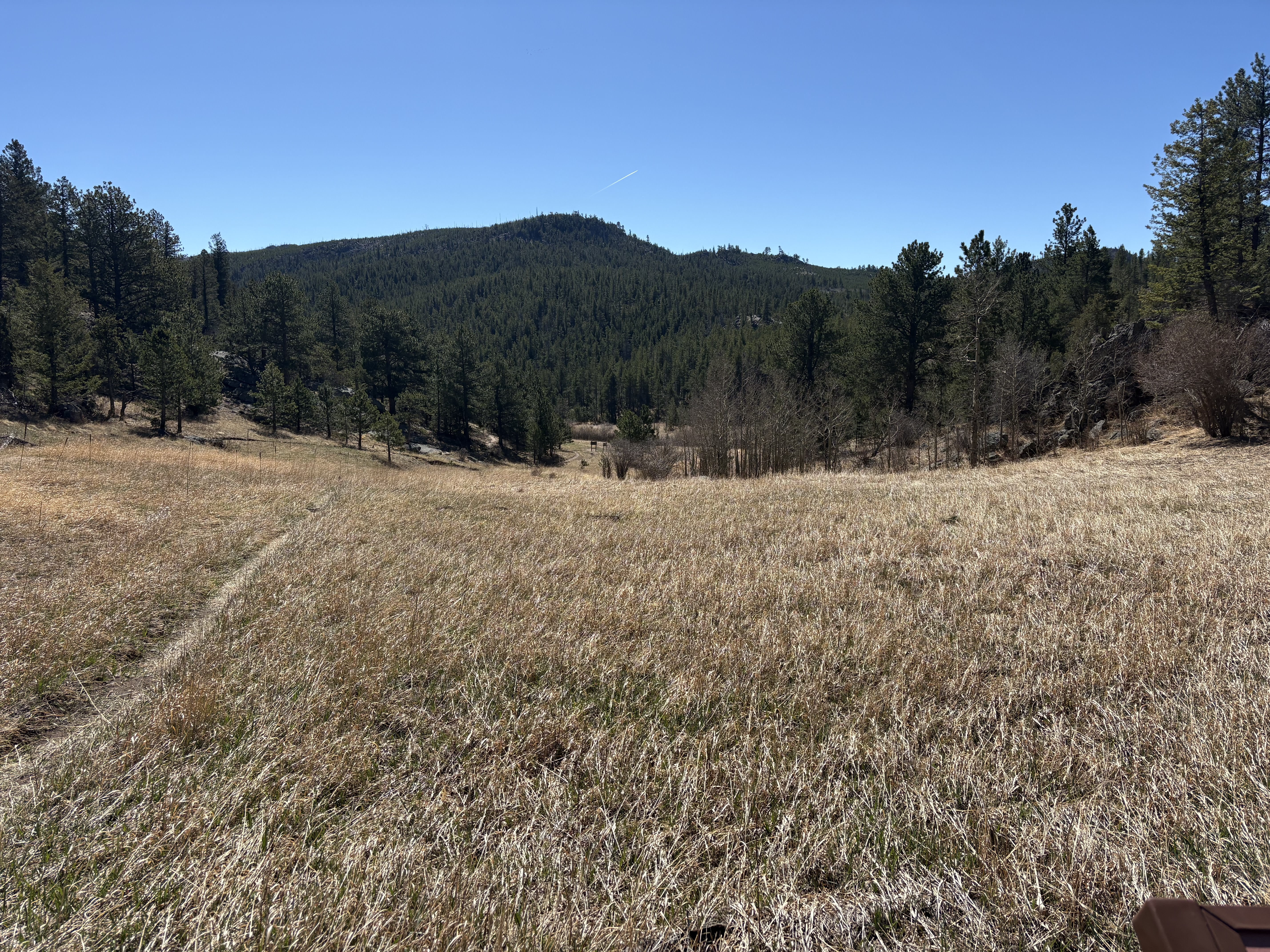 Homestead Meadows