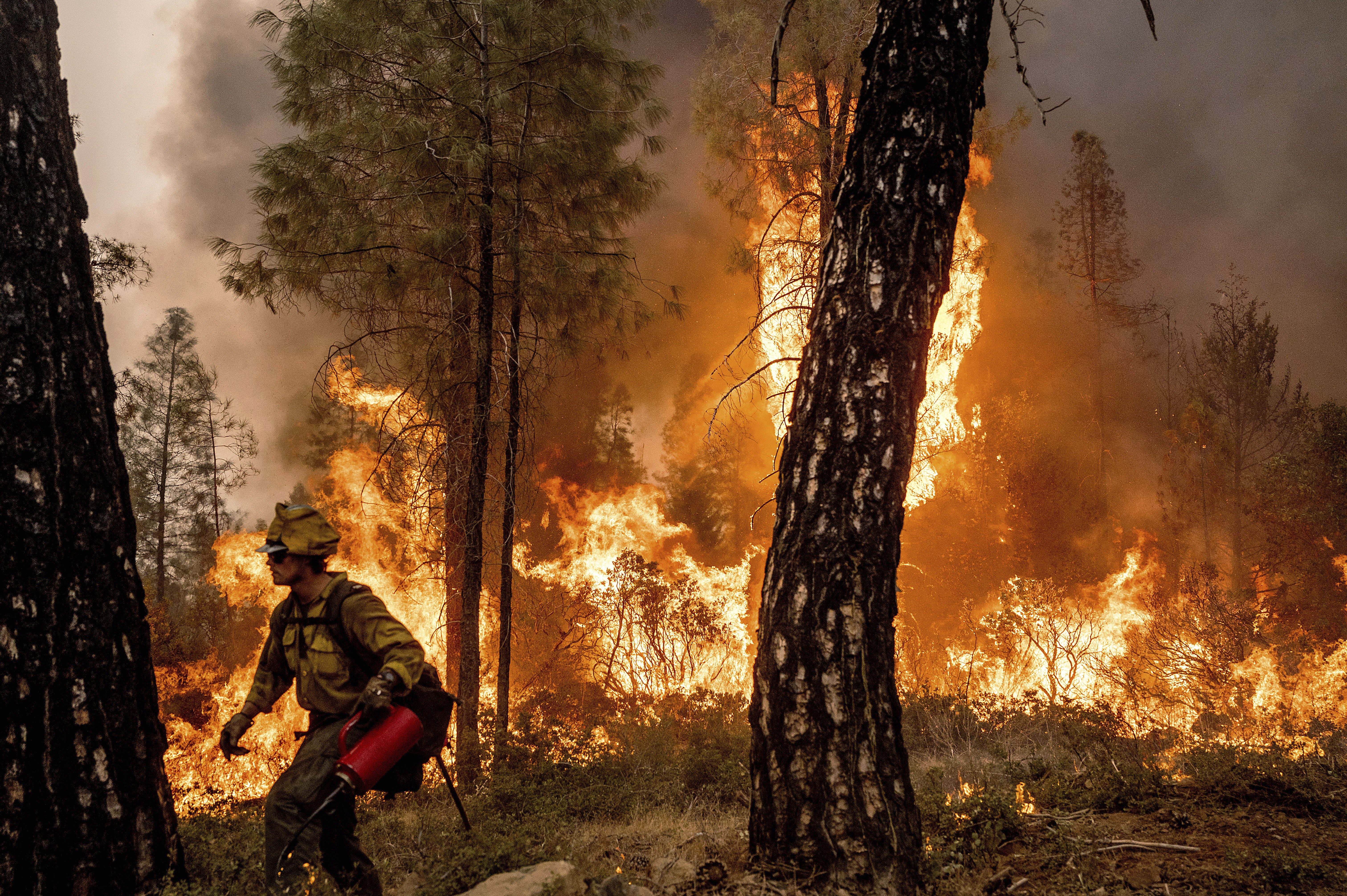 Western Wildfires