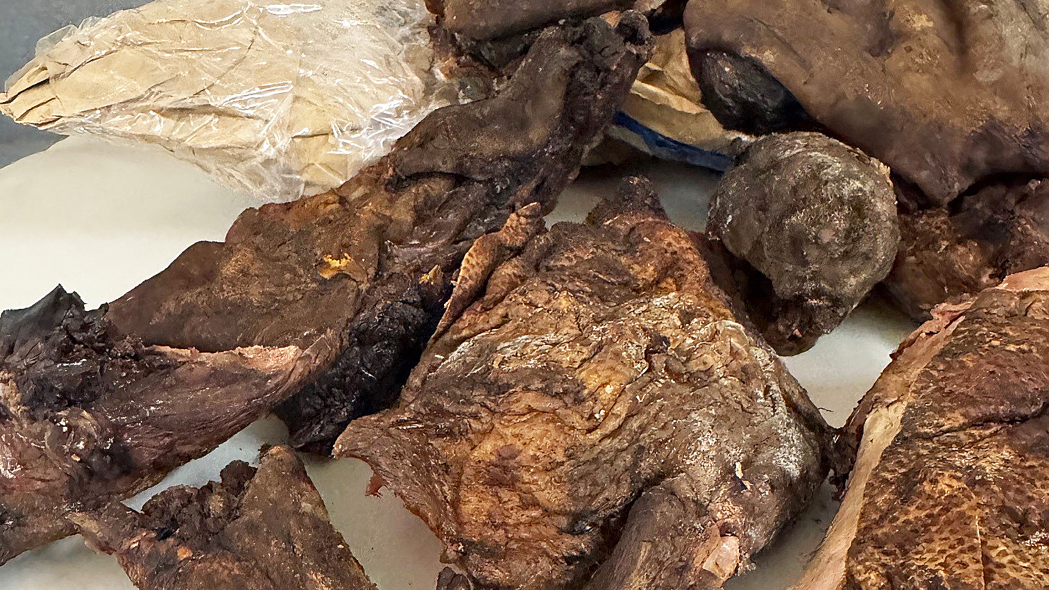 bushmeat dtw.jpg